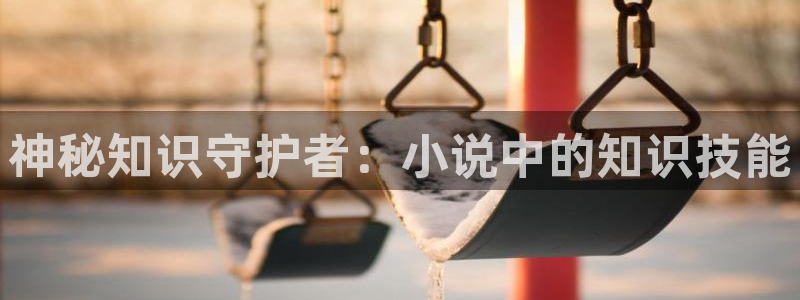 铁血战魂1949流光飞舞息壤中文网：神秘知识守护者：小说中的知识技能